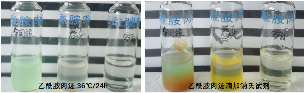 天然礦泉水檢測(cè)中的新角色--惡臭假單胞菌