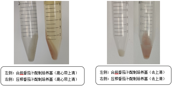 維生素檢測國標法本底污染的原因分析