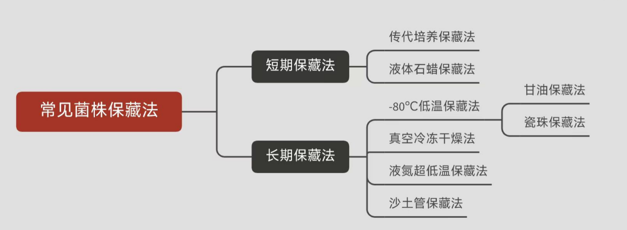 常見菌株保藏法的優(yōu)缺點對比