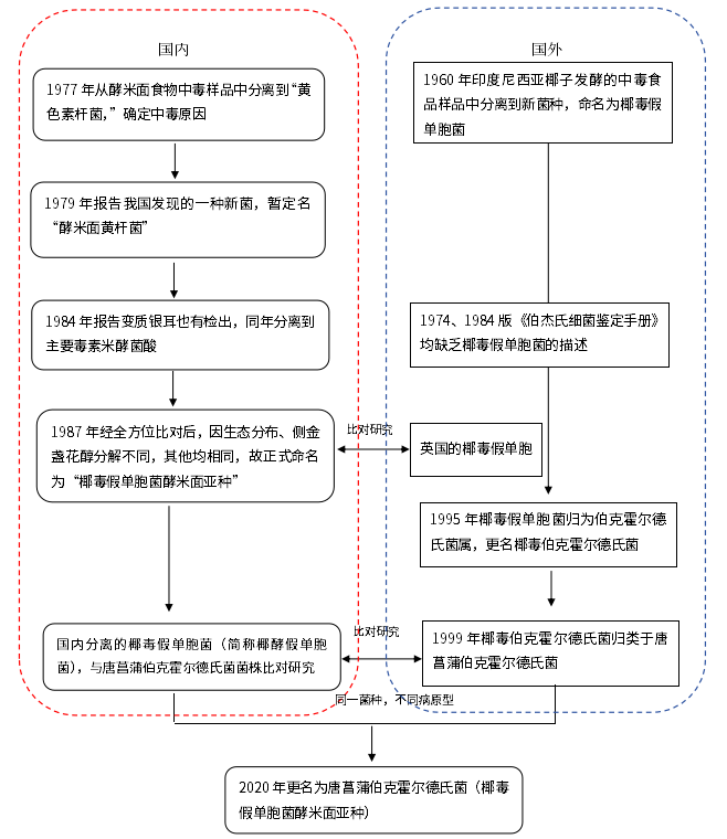 不斷變換“馬甲”的細(xì)菌——唐菖蒲伯克霍爾德氏菌（上）